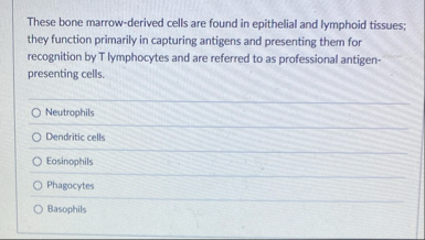 These bone marrow - derived cells are found in