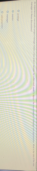 An experienced, successful project manager meets