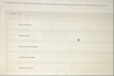 Something unique or special a firm possesses or