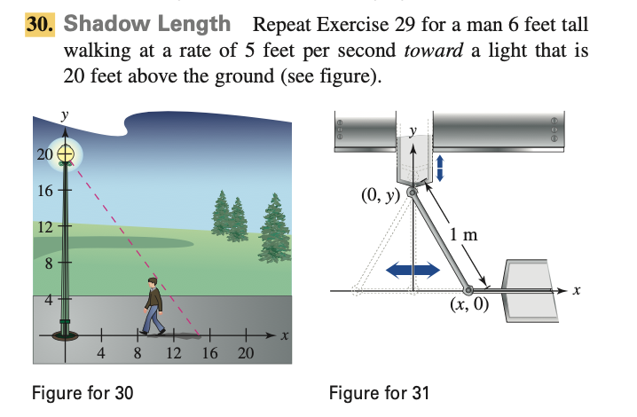3 0 . Shadow Length Repeat Exercise 2 9 for a man
