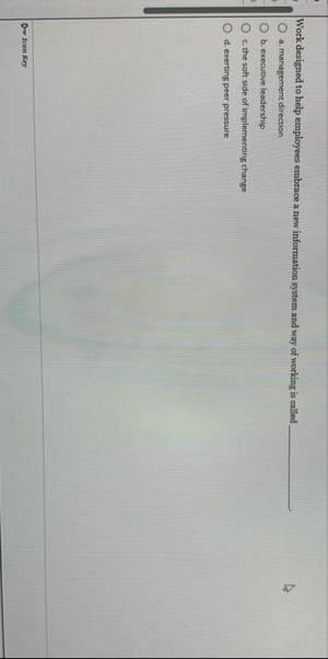 Work designed to help employees embrace a new