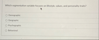Which segmentation variable focuses on lifestyle,
