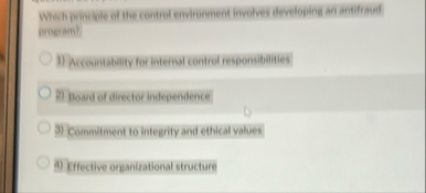 Which pinciale of the control environment