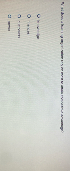 What does a learning organization rely on most to