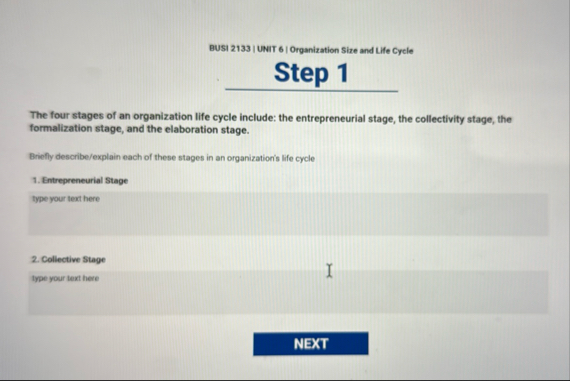 BUSI 2 1 3 3 | UNIT 6 | Organization Size and