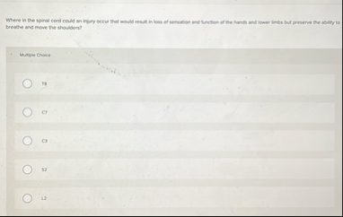 Where in the spinal cord could an infiry eccur