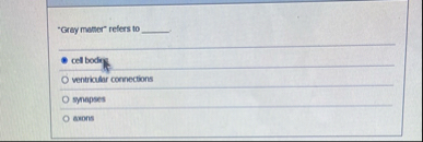 "Gray matter" refers to cell bodin ventrictier