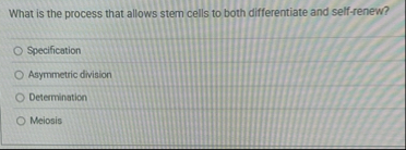 What is the process that allows stem cells to