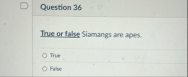 Question 3 6 True or false Siamangs are apes.