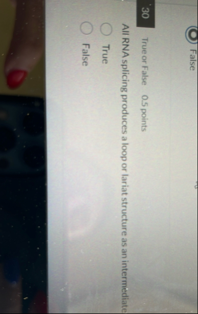 False True or False 0 . 5 points All RNA splicing