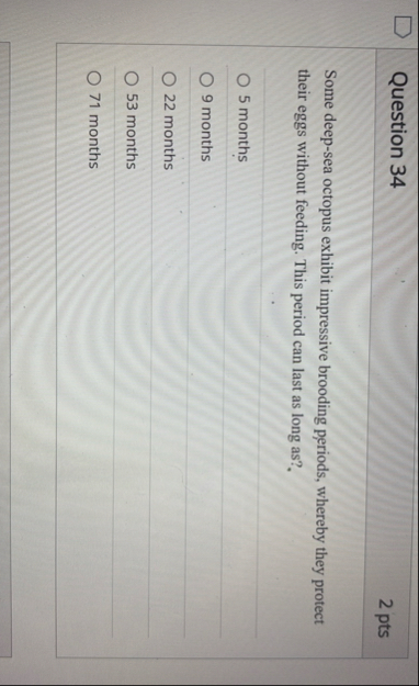 Question 3 4 2 pts Some deep - sea octopus