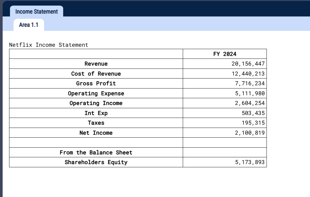 Calculate the Return on Equity, I got an error on