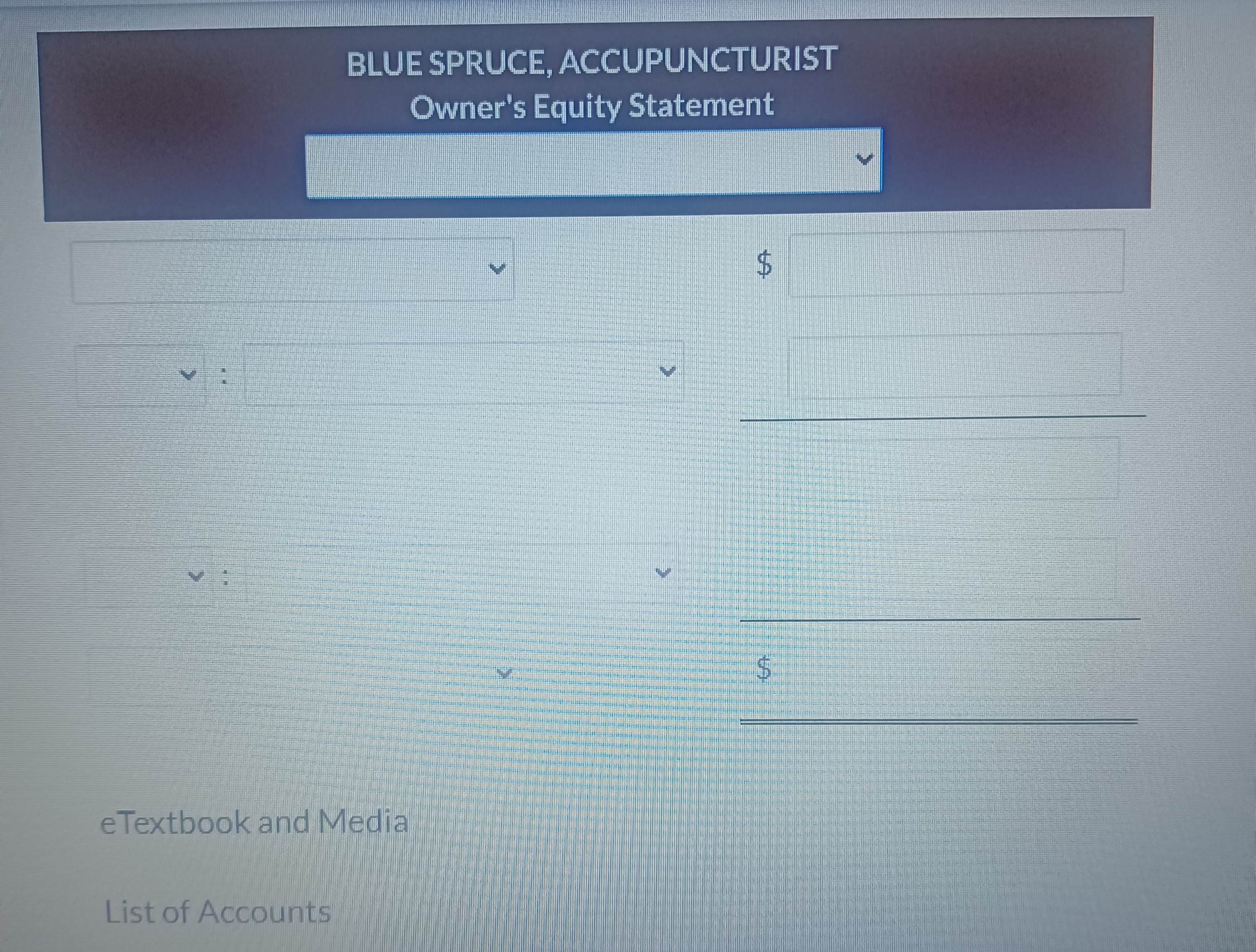 BLUE SPRUCE, ACCUPUNCTURIST Owner's Equity