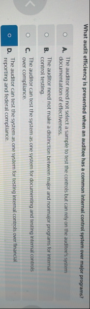 What audit efficiency is presented when an