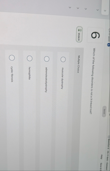 em - it guiz i Ouevisen 6 - Ch - TY Gulf -