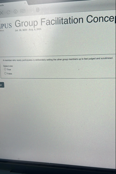 pus Group Facilitation Conce Jul. 2 8 , 2 0 2 5 -