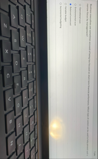 1 pts Business executives are sometimes accused