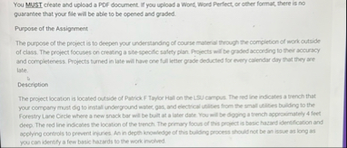 You Must create and upload a PDF document. If you