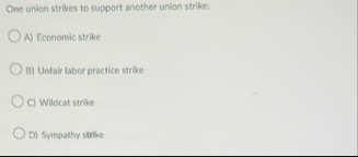 One union strikes to support another union