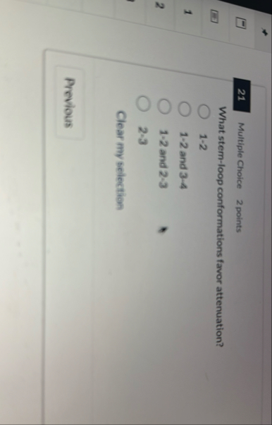 2 1 Multiple Choice 2 points What stem - loop