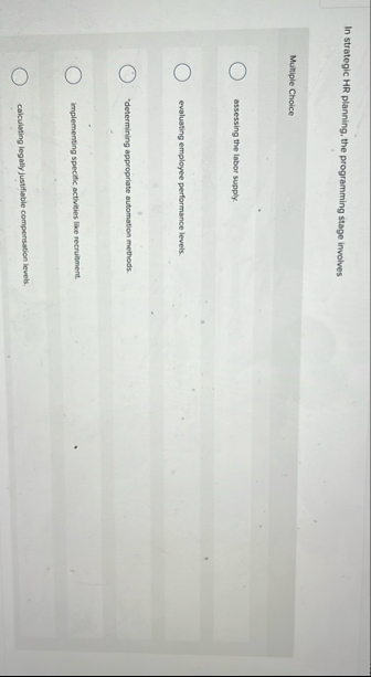 In strategic HR planning, the programming stage