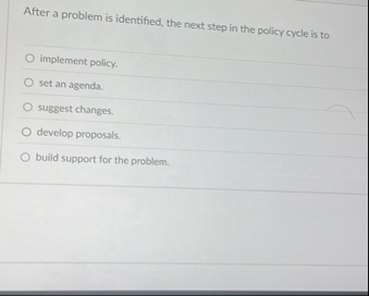 After a problem is identified, the next step in