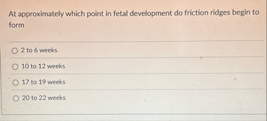 At approximately which point in fetal development