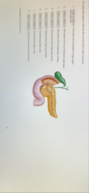 For each description, indicate the correct