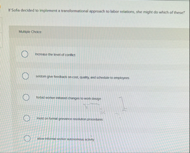 If Sofia decided to implement a transformational