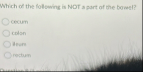 Which of the following is NOT a part of the