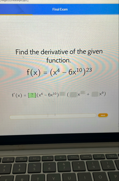 Find the derivative of the given function. ( x 4