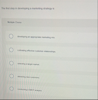 The first step in developing a marketing strategy