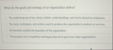 What do the goals and strategy of an organization