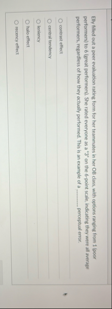 Elly filled out a peer evaluation rating form for