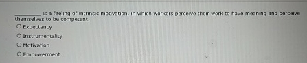 is a feeling of intrinsic motivation, in which
