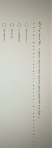 Which phase of the therapeutic relationship