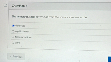 Question 7 The numerous, small extensions from