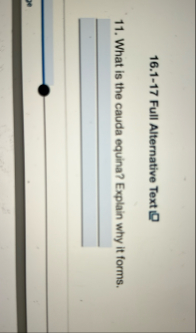 1 6 . 1 - 1 7 Full Alternative Text 1 1 . What is