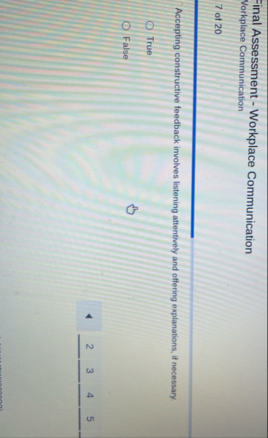 Final Assessment - Workplace Communication