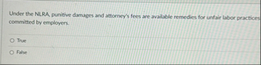 Under the NLRA, punitive damages and attorney's