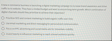 A new e - commerce business is launching a