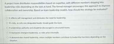 A project team distributes responsibilities based