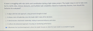 A team is struggling with role clarity and