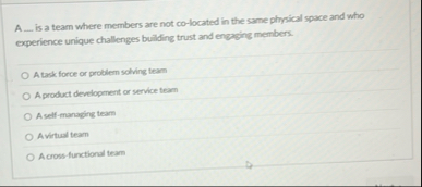 A _ _ is a team where members are not co -