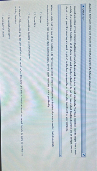 Read this brief case study and choose the term