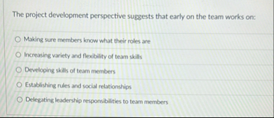 The project development perspective suggests that