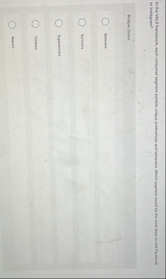 In the VALS framework, each consumef segment