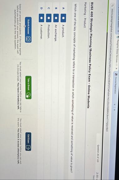 Peregrine Global Services - E micro