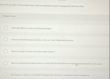 ople who are part of the project team need to