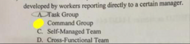 developed by workers reporting directly to a